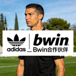 知名体育品牌 Adidas 标志 - bwin_Bwin 合作伙伴